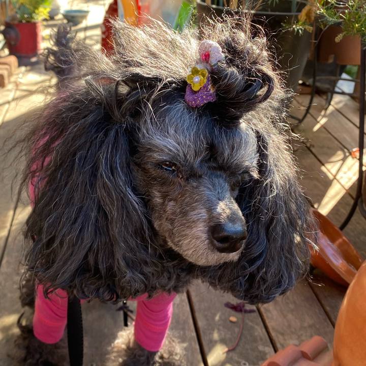 3167ae13 7407 48de 983e f86e5db2a59b 1737531997645