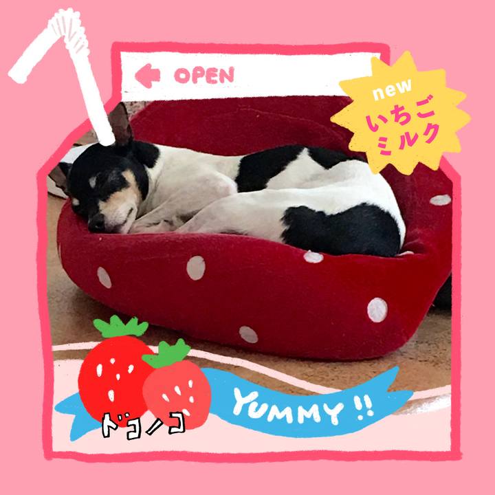 3167e0f9 1948 40a4 886d 703c11a8f205 1711023511564