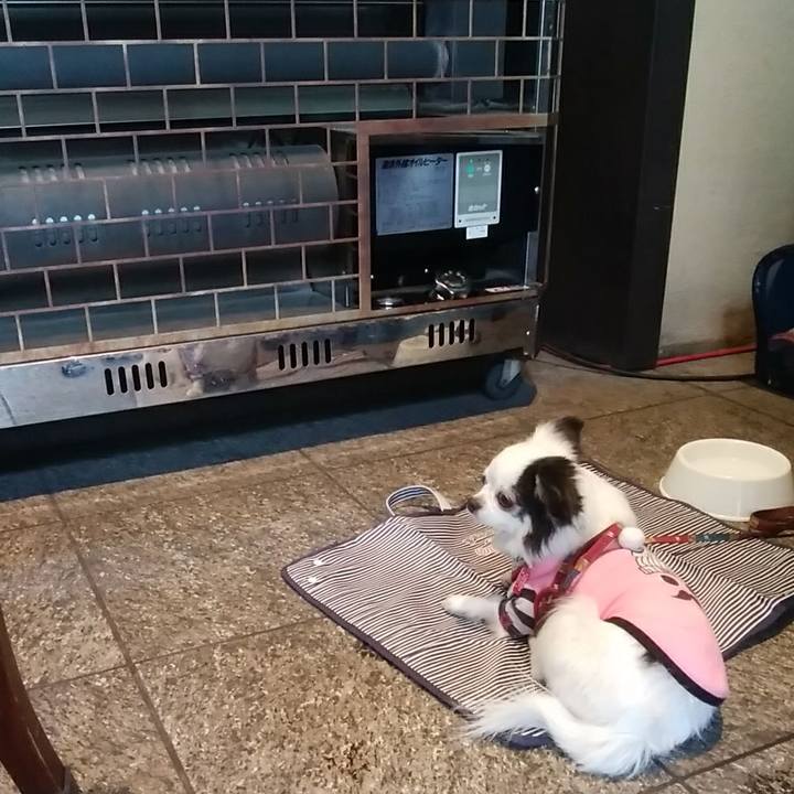 3167e37a a546 430b 88a5 4156e3af5312 1514555134128