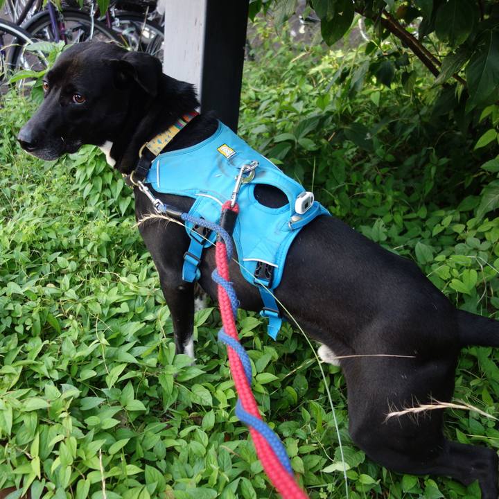 3168041e d360 4c5a a091 55592d08d48b 1622201256372