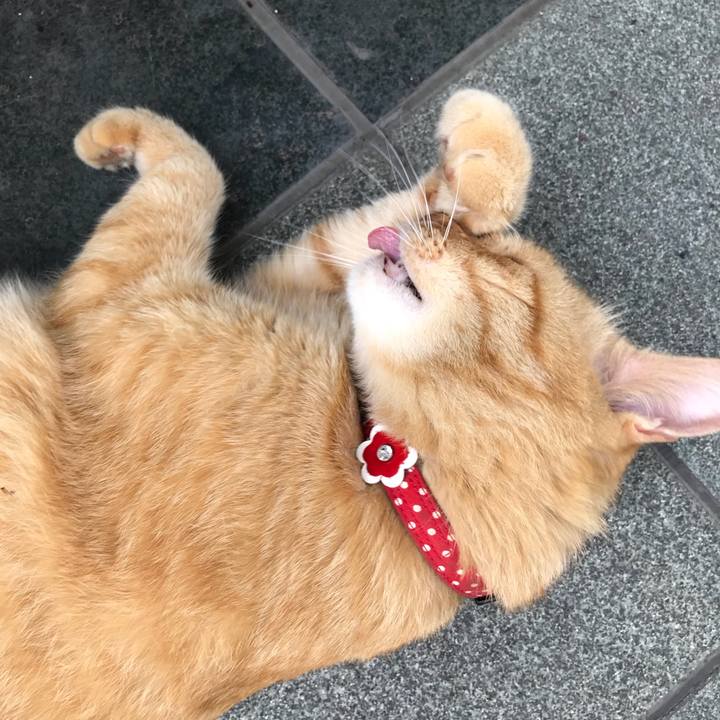 316831e4 b013 41c3 a18c 7b20f1286ad3 1528449967754