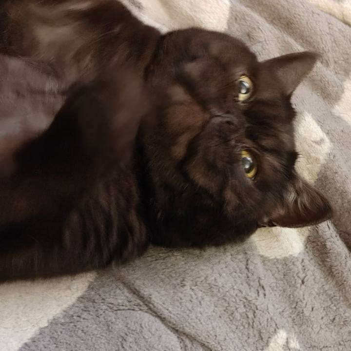 31683512 6507 405d bf38 c6034dd4f31e 1660349117509