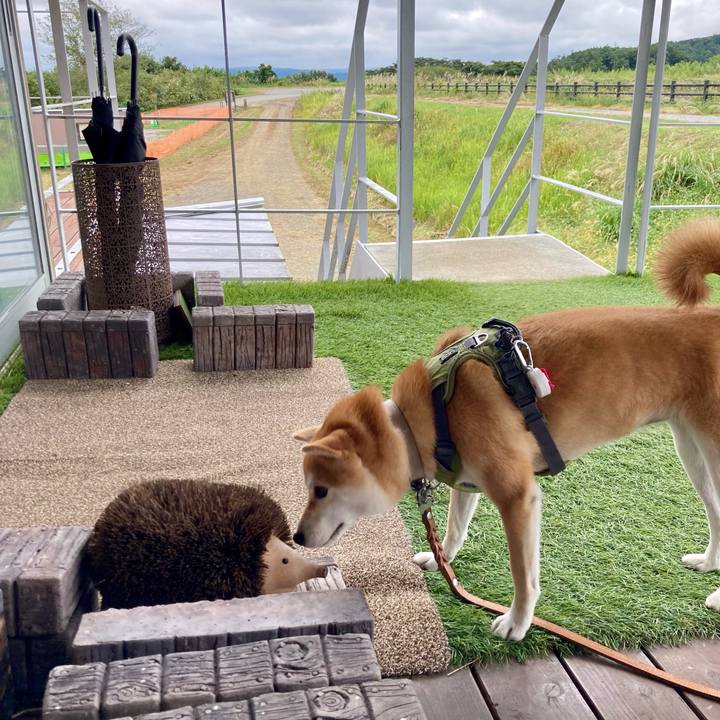 31683e5b 8bf5 4284 8317 a44e36cfa532 1731803831208