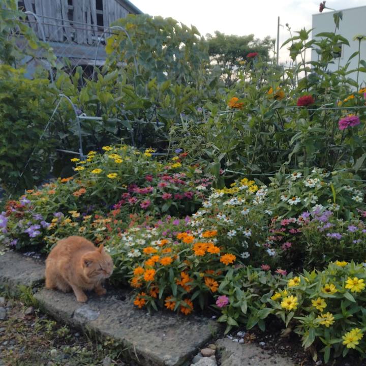 31684e1d 3d55 4676 8c09 0b5ea27eac10 1721599553088