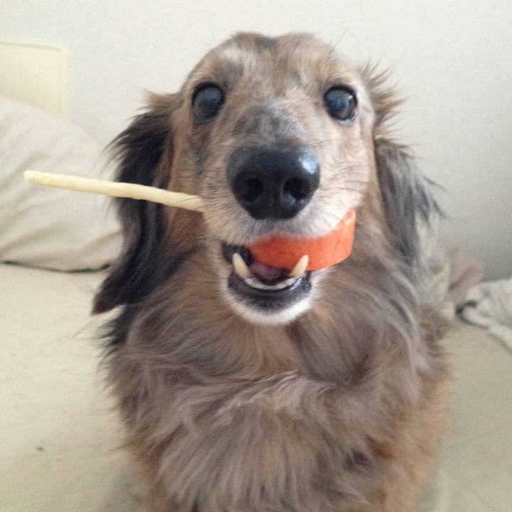 3168552b 1468 4abb 8f12 82fab022fdfc 1772840561392