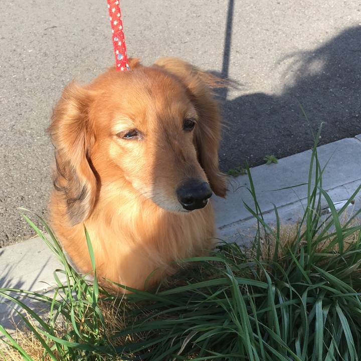 31685ed2 fc19 4622 bb46 43720d6a1fb8 1553778125080