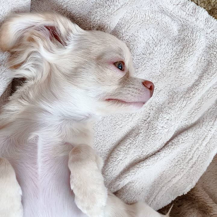 3168a548 173c 460b 89b1 5b252e3a5764 1595819952085