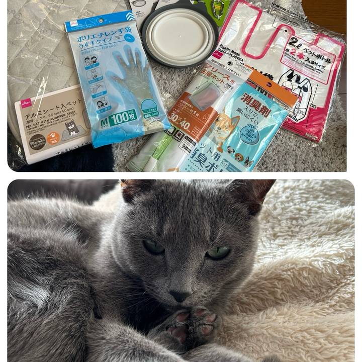 3168c71d c51d 4ce5 b6a9 7103dd285843 1705287530340