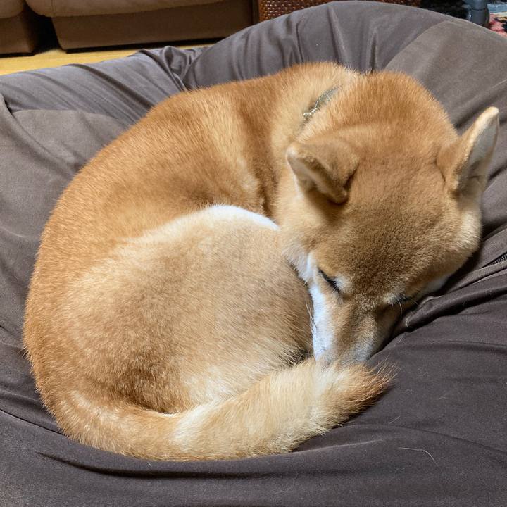 31695d47 19ca 46bc 8184 f8c487a0573b 1634171332808