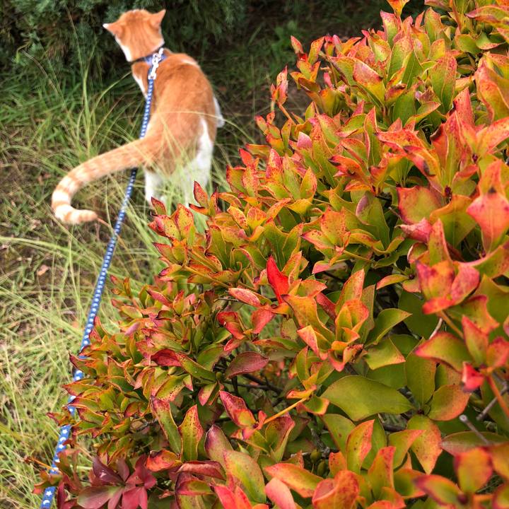 316a0b97 8687 4182 b69f 6f94659a3b1e 1539581241224