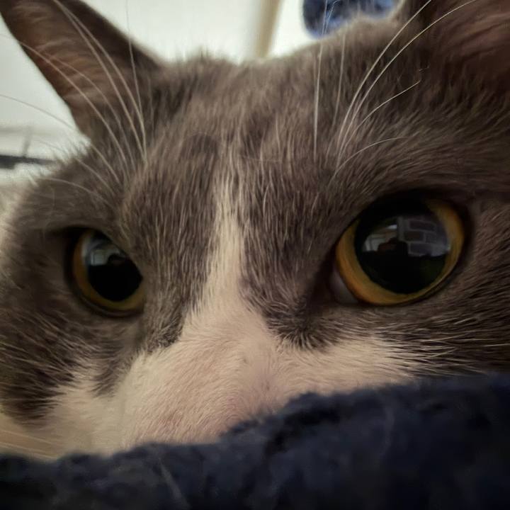 316a1169 fcc5 4b77 9d3c 7cbfdc81b2ed 1767830601804