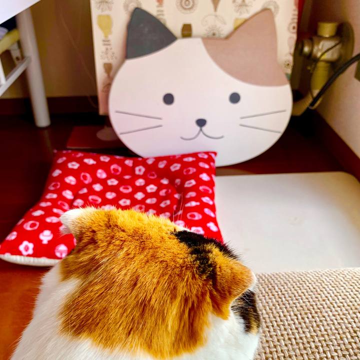 316a15d7 fd38 487c bb52 8f9c1a525abd 1568846677315