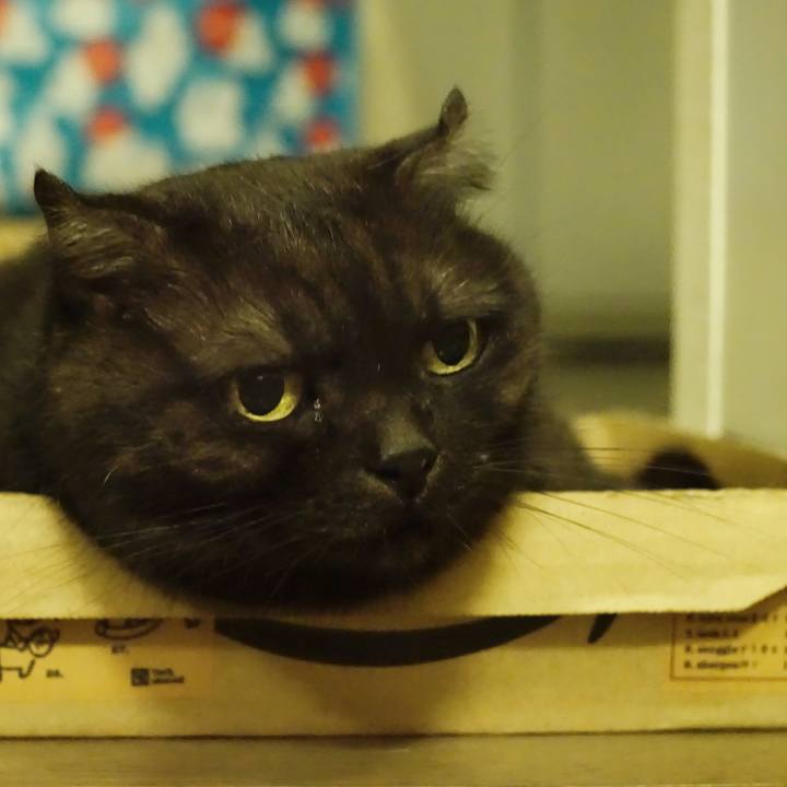 316a416c bd7d 43de a559 fc4a2e6dd588 1568566235625