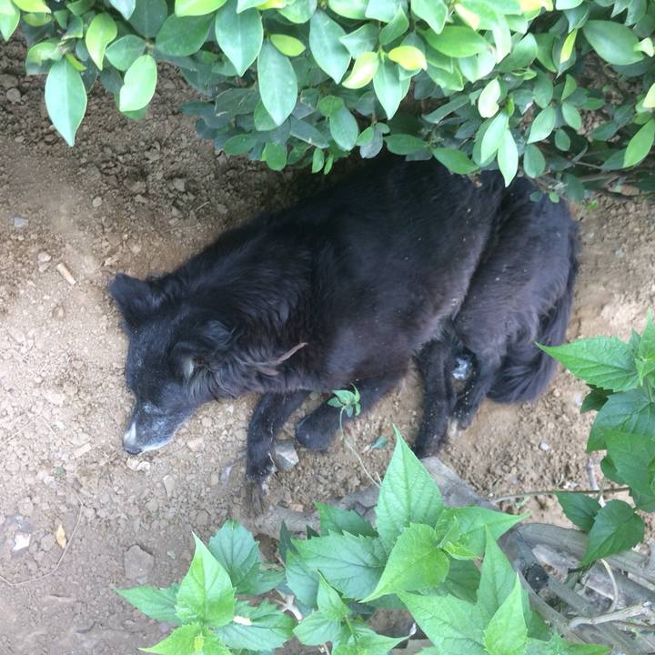 316a50a1 f7ce 40c4 bcd2 ebffa13d17e7 1529585327629