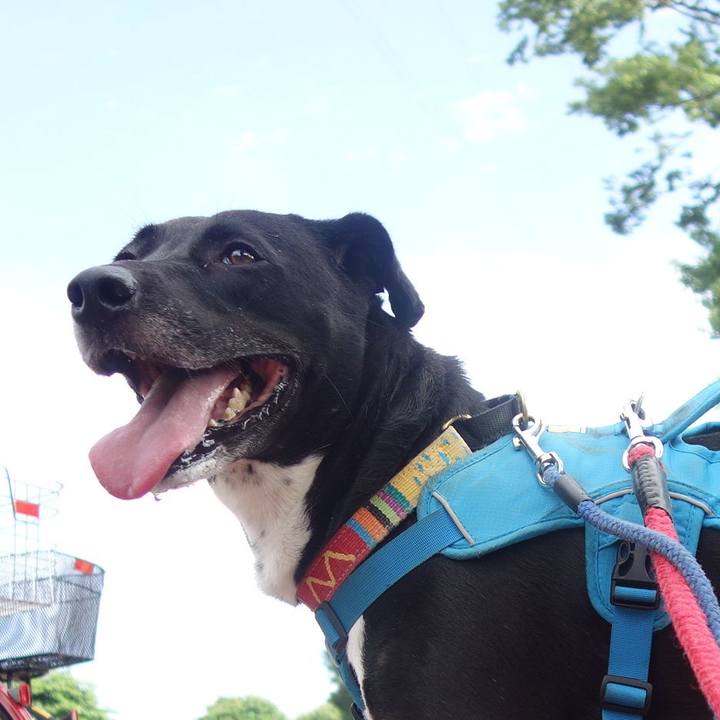 316aadc2 0bc2 4978 9c90 19f7127259fa 1625875598910