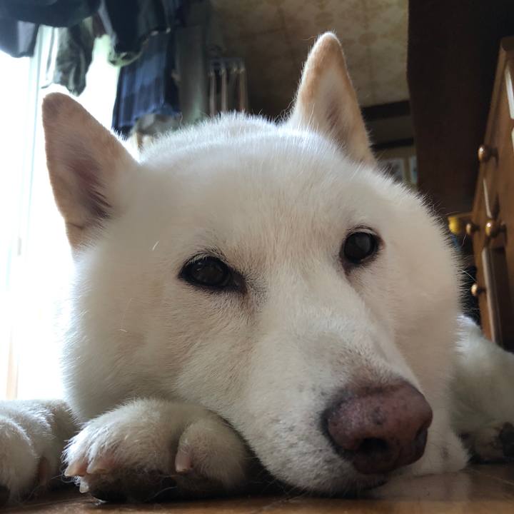 316aaf35 d47e 4e4a 8502 6da6a43b721d 1721711790768