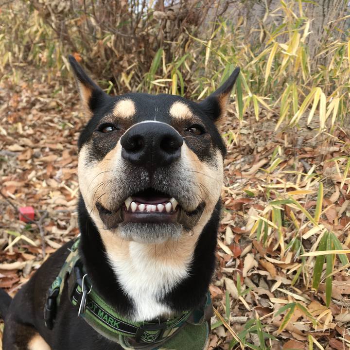 316ab896 8ab1 4767 a86c dac8d49341d5 1549171387429