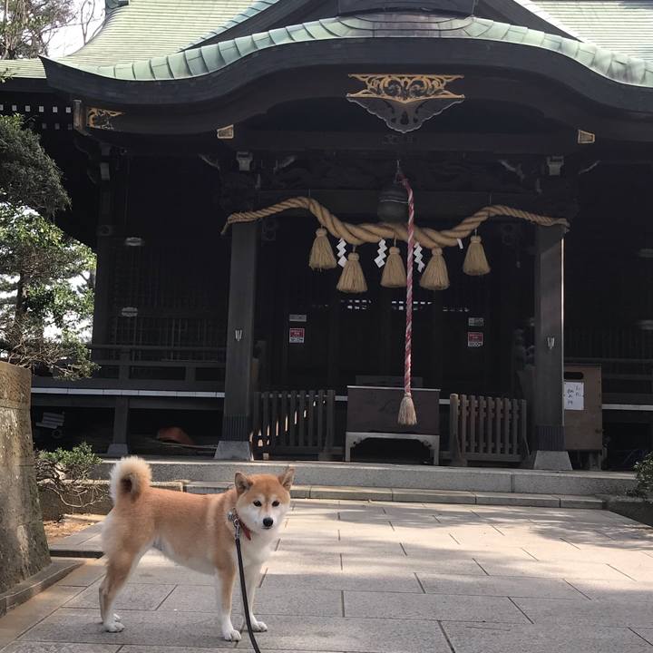 316abeb9 09f8 4c92 8aa5 7a2c5a8d7dea 1555218347124