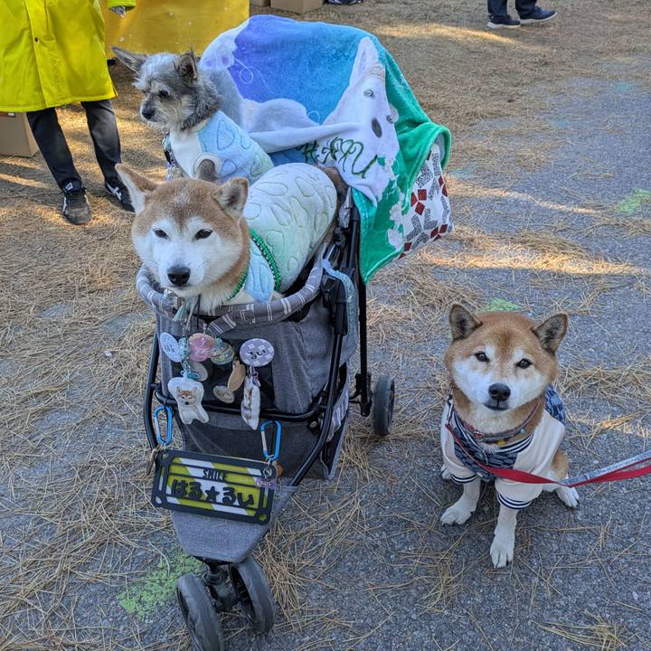 316ac717 15ae 4a3c b1b9 8acbd2c22464 1735625180241