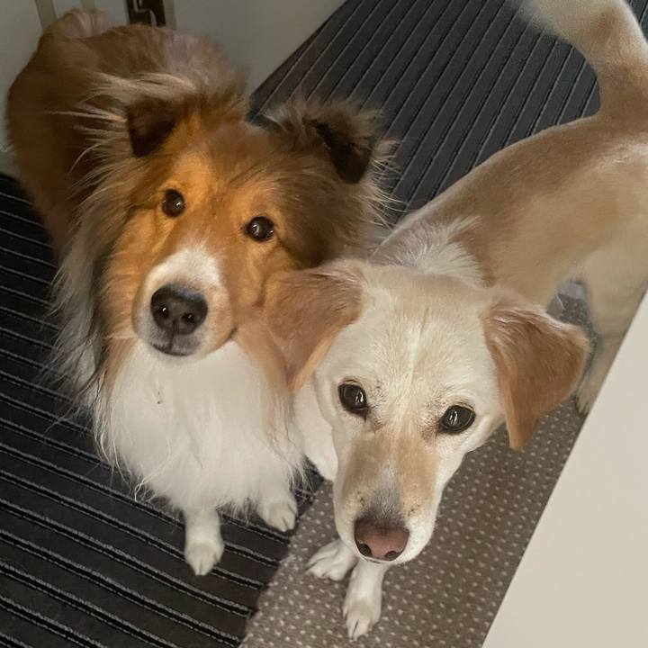 316ada6e a141 43ef 8a1d 1d79ab3f4814 1644112158324