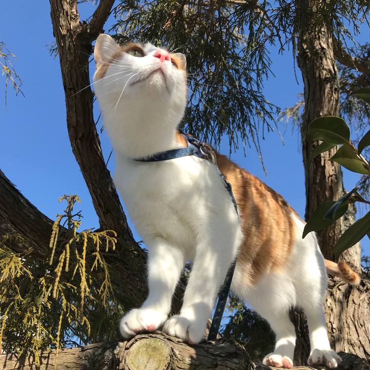 316b0eac c97b 4322 ac87 9addc7d96662 1517373835677