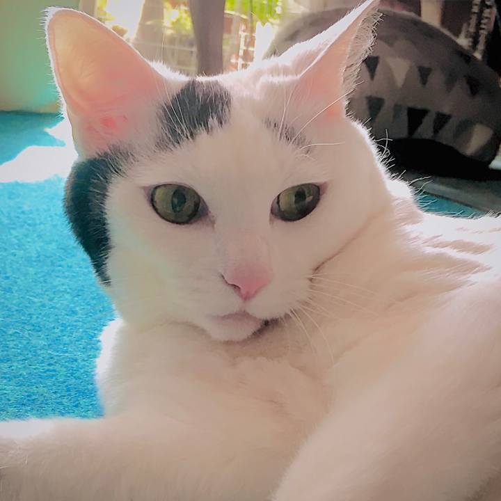 316b1d5d 9411 4eeb b47f 7dac656257de 1585973450833