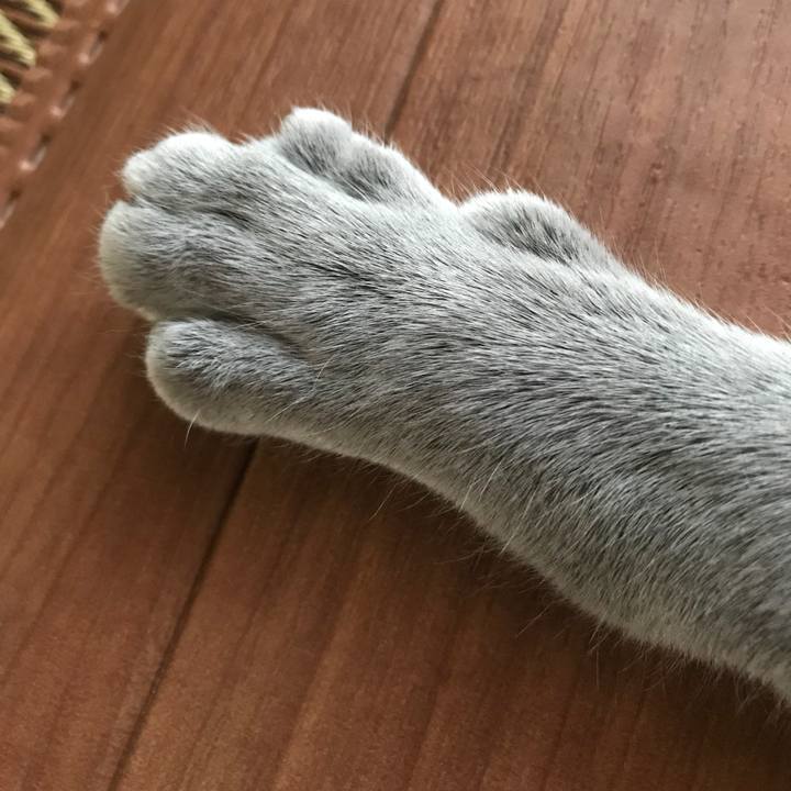 316b58b5 7c03 497a 83ca ebe4a8741a8b 1518532519734