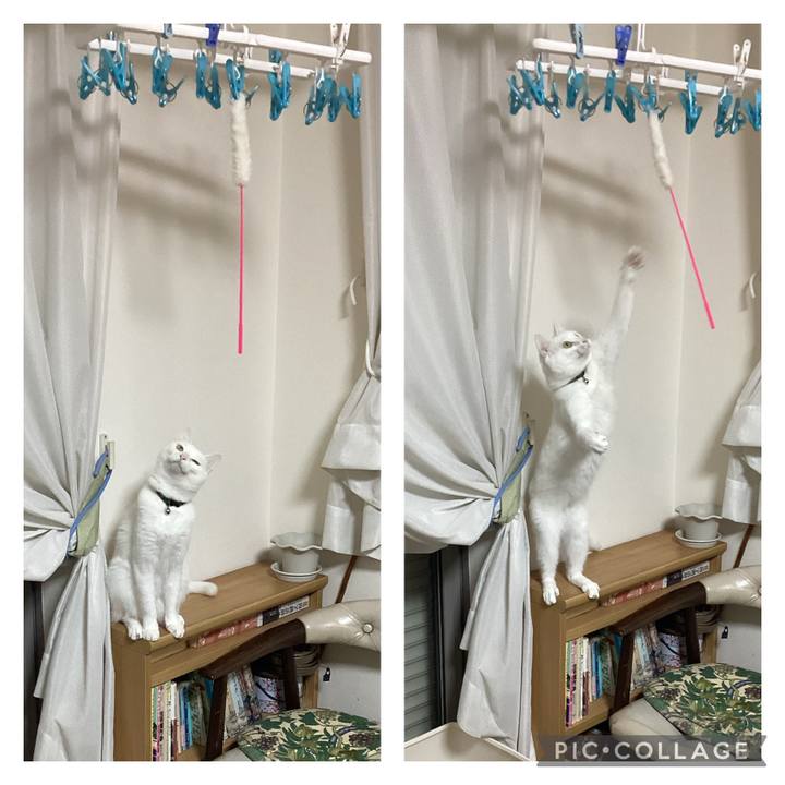 316b72f4 e120 4308 aad4 81627d1b878f 1652694993484