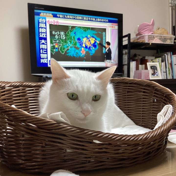 316b95a9 a177 4df8 adce 88896d18b26b 1694122293979