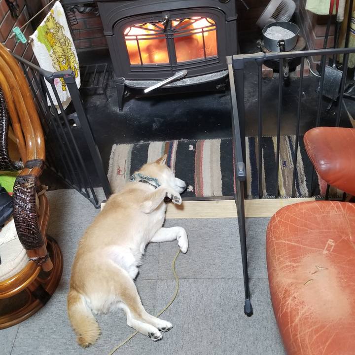 316bda04 b787 40c1 90c8 b7ebf36a318f 1707007408278