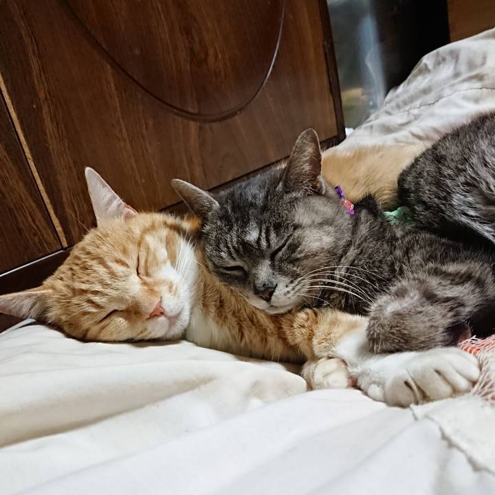 316c6789 e2ca 486e acf4 dddf5a4bdbb3 1587562964778