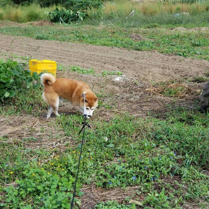 316c6a75 fb59 4807 9d5d 6f3515d964d6 1569288138065