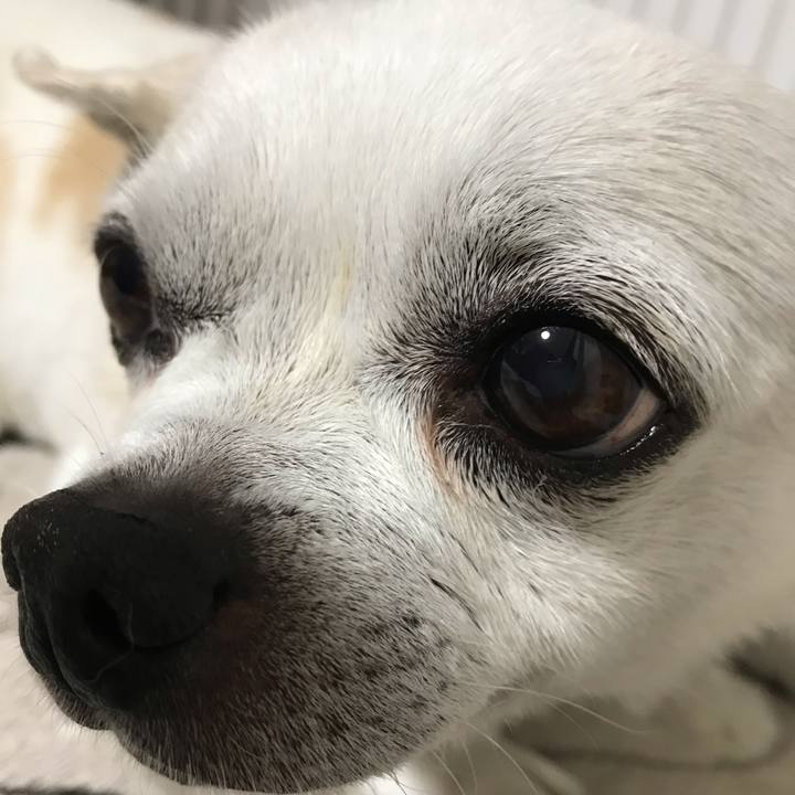 316c85e7 6f30 4c6a ab33 5048f33f142b 1657278393522