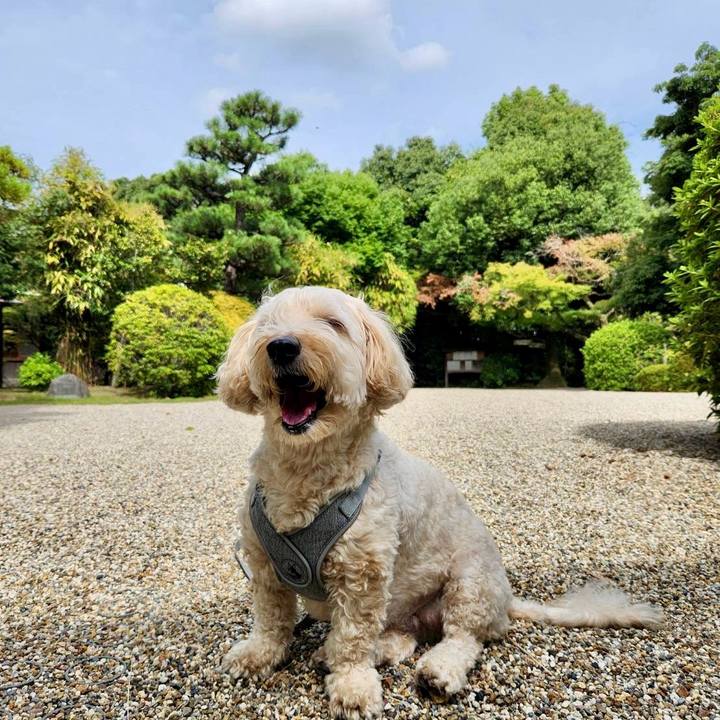 316c901b b4dd 4d70 b26a 34d3b1c45466 1758594178411