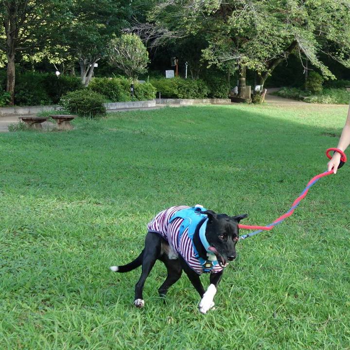 316cb95a 3493 4685 9074 5764d570fe7f 1628637756739