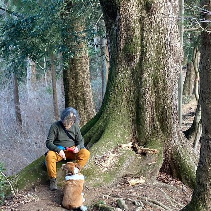 316d037c d74d 4939 9890 75b7cbc402e4 1675521147864