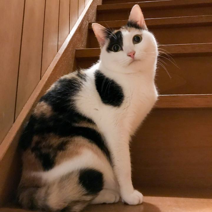 316d0425 57ba 433c 9db9 2646ca41d1be 1517966357237