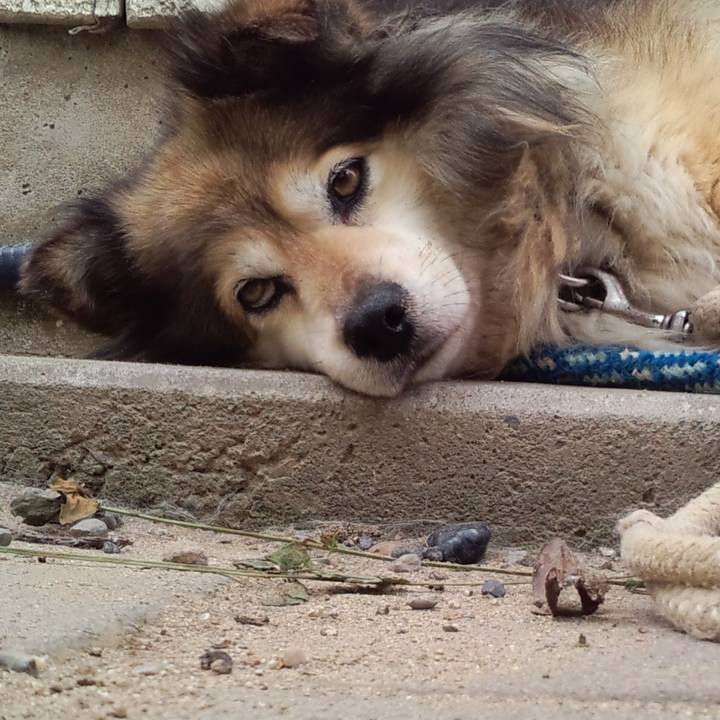 316d0751 238a 4df0 848a 425751d7957a 1554685304339