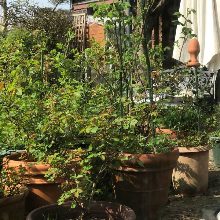 316d619e b4f7 4ac5 b6ba 02c0dfea3cd2 1522542338320