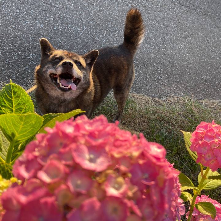 316de520 7db2 4c09 93f9 9a544788219c 1592734749721