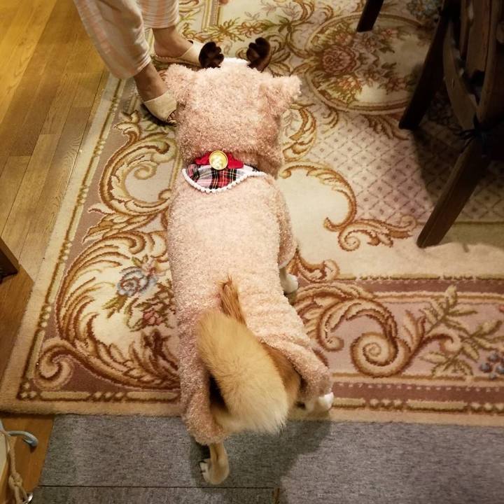 316e05e8 3352 447f 9e7d b52add645aa3 1575976122139