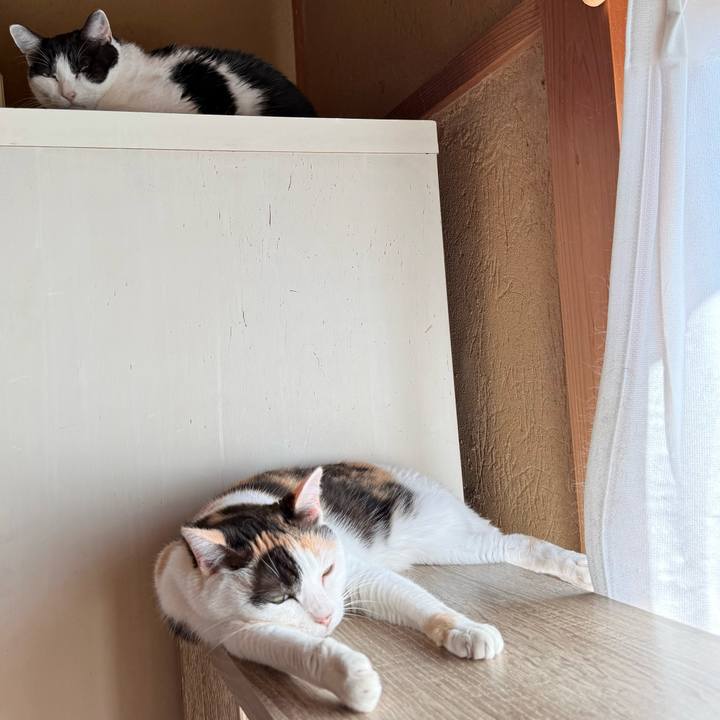 316e51d6 0f1f 428c aa2b 4faf1cabccce 1760579553680