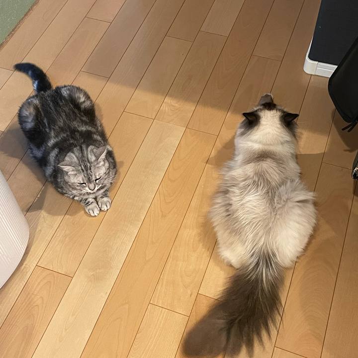 316e5991 5b2a 47cb b888 1e0dcd59dfc8 1625059830348