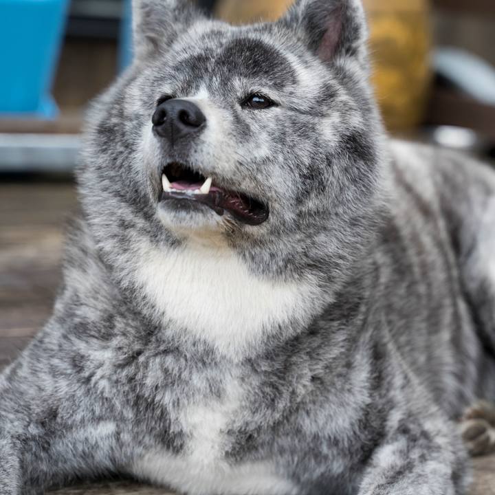 316e6284 7905 4b83 8b0e d91541a910a2 1625384252389