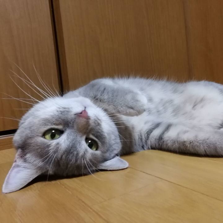 316e8a3c a1b7 4f76 bf86 51550e818b22 1532608598153