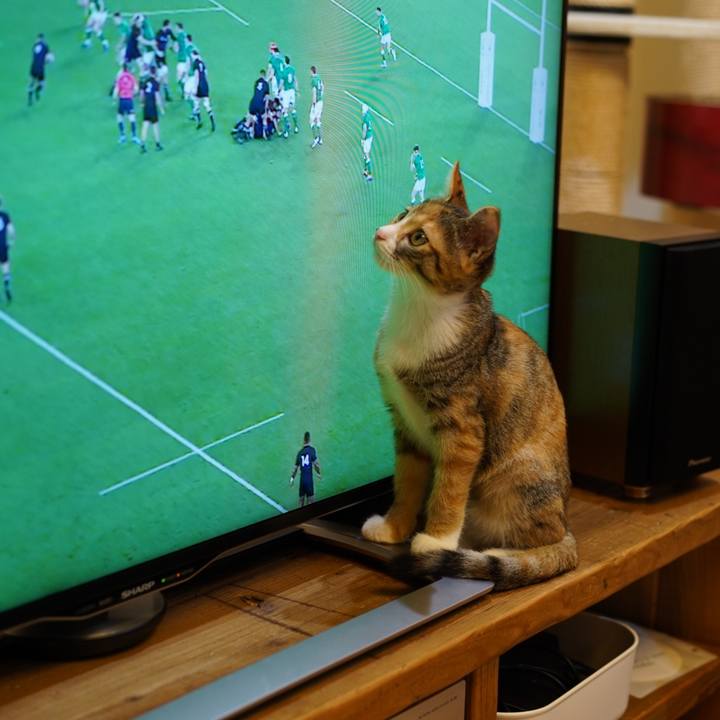 316e9781 7a98 4f53 893a 15c436134c8c 1571789488499