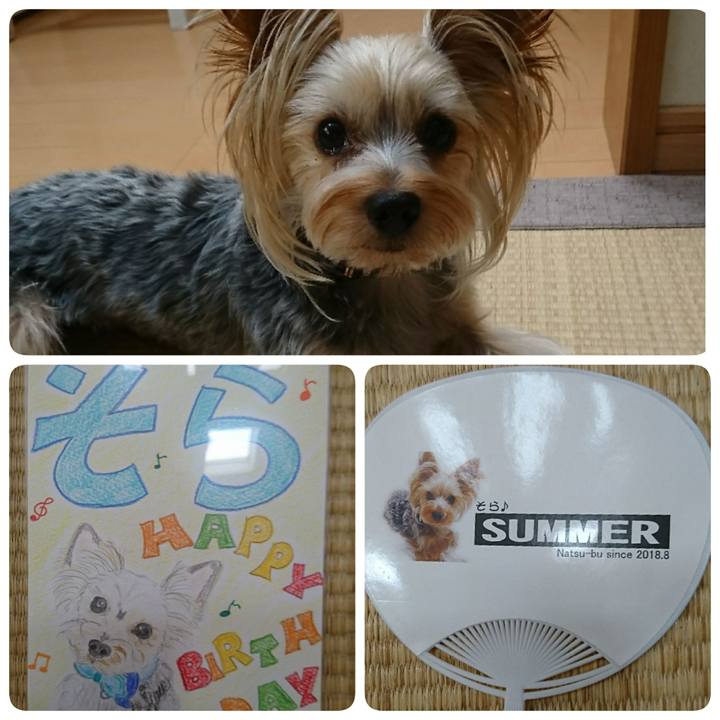 316e9c96 d39d 4569 b49e 7c40c8c160f8 1533707737944