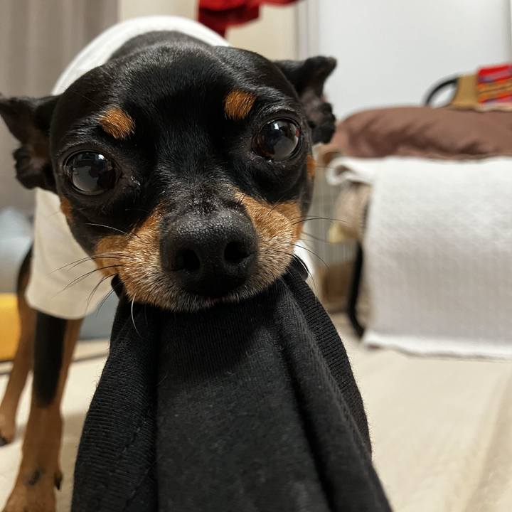 316f62ae f070 40ab 85ea 4c1a49eafe7d 1700484043243