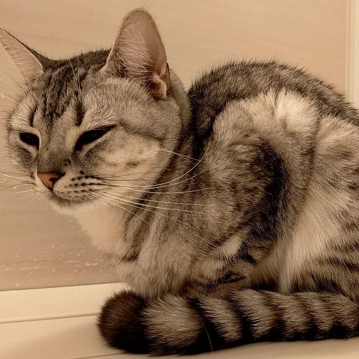 316f72bf f6a2 4b61 88fc 8bfad5ccf6ca 1605434984053