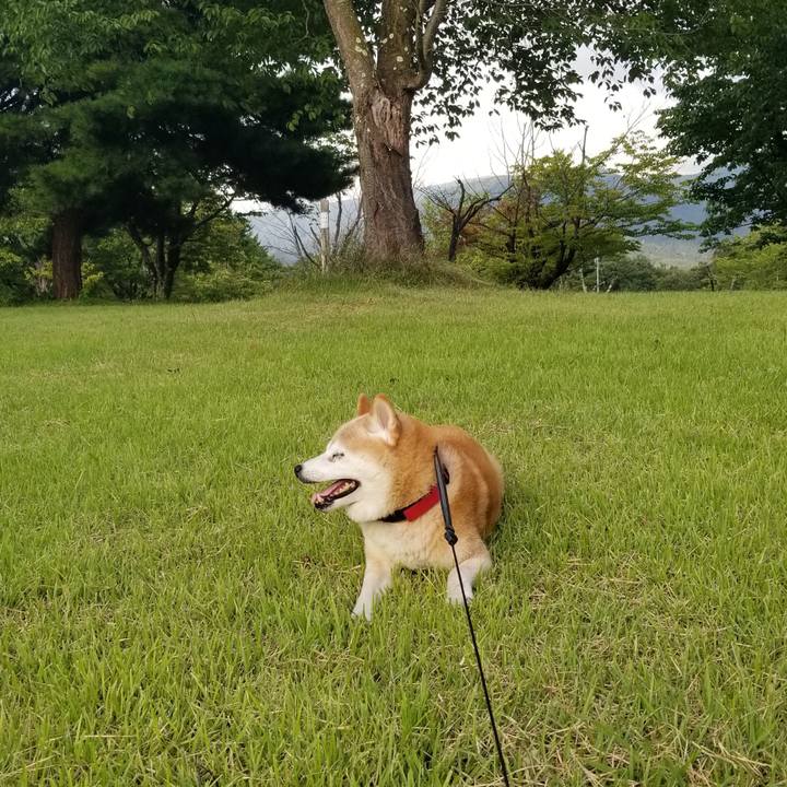 316f7e2d cc3c 48cb 8ee4 b7b6c49a24ed 1723625672773